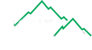 Developer Logo